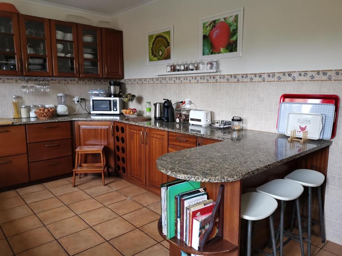 São Vicente Ferreira Casa Das Palmeiras מראה חיצוני תמונה